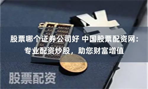 股票哪个证券公司好 中国股票配资网：专业配资炒股，助您财富增值