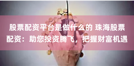 股票配资平台是做什么的 珠海股票配资：助您投资腾飞，把握财富机遇