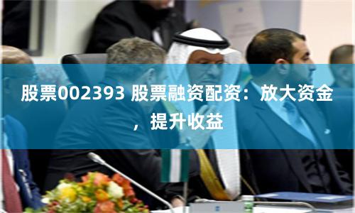 股票002393 股票融资配资：放大资金，提升收益