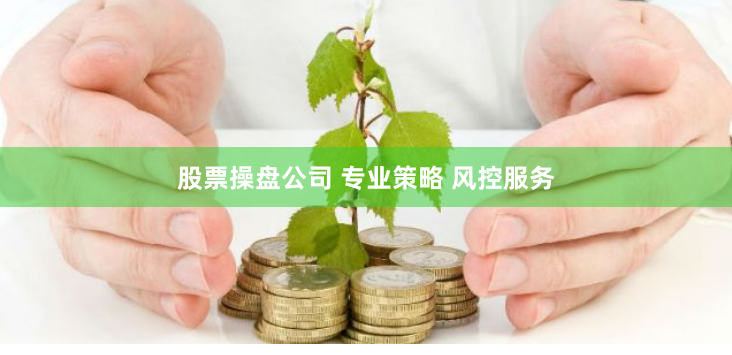 股票操盘公司 专业策略 风控服务