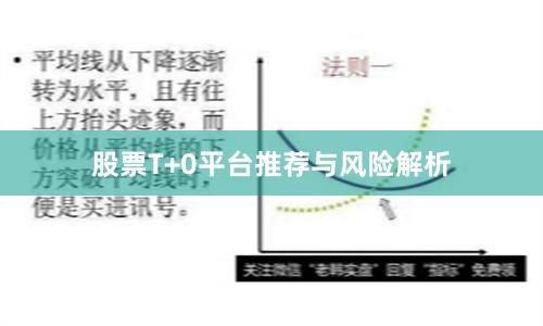 股票T+0平台推荐与风险解析