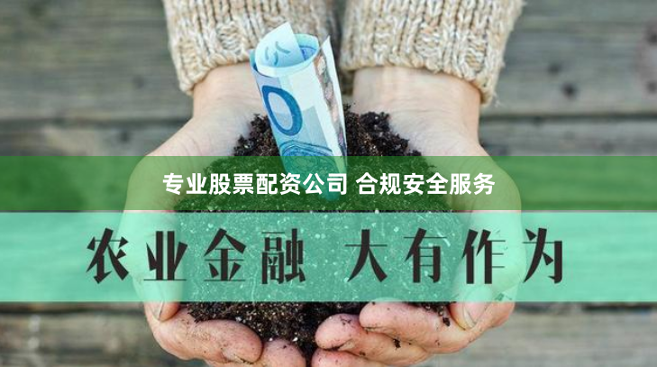 专业股票配资公司 合规安全服务
